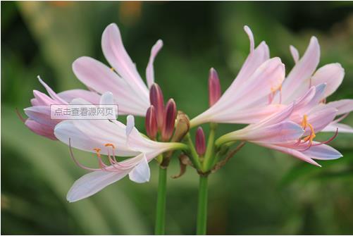 小学一年级百科知识[百科知识注意事项]